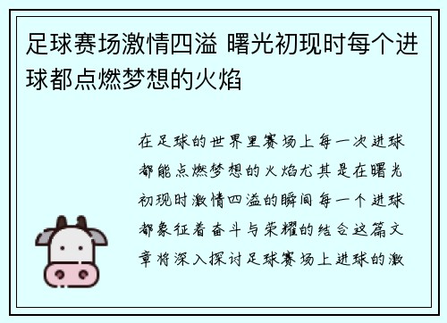足球赛场激情四溢 曙光初现时每个进球都点燃梦想的火焰