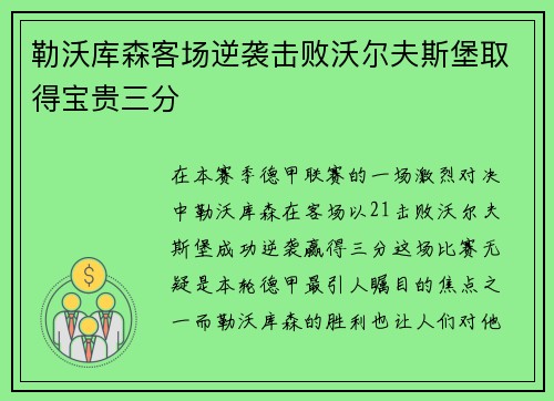 勒沃库森客场逆袭击败沃尔夫斯堡取得宝贵三分